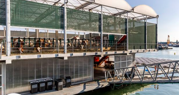 Floating farm, Rotterdam